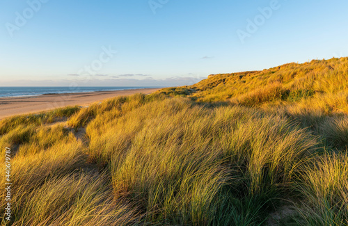 Fototapeta Naklejka Na Ścianę i Meble -  Sand Dunes at sunset by North Sea, Oostende (Ostend) city, Belgium.