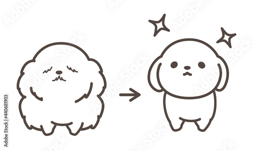 ドッグトリミング　before and after