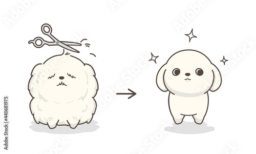 ドッグトリミング　before and after