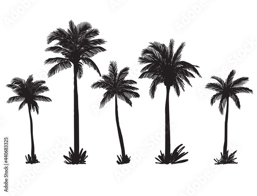 silhouettes of palm trees on a wild beach. vector sketch on white background