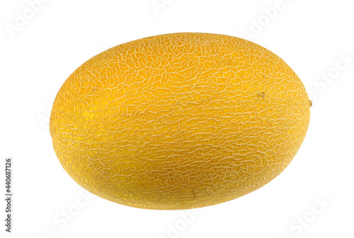 Obraz na płótnie close up on honey melon isolated on white background