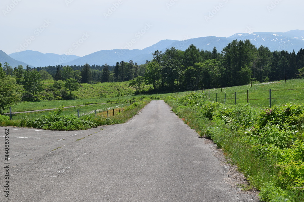 Obraz premium 山岳道路 山形県庄内