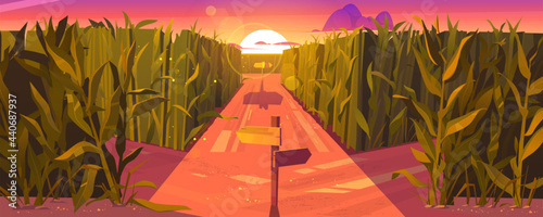 Cornfield sunset landscape with wooden road pointers and high green plants. Choice of way concept with signposts pointing on path fork. Labyrinth, maze, choosing direction, Cartoon vector illustration