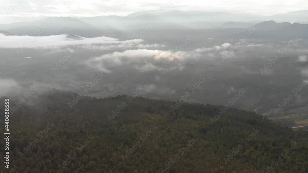 Pull front with drone above forest in a cloudy sunrise in Colombia Pull front with drone above forest in a cloudy sunrise in Colombia
