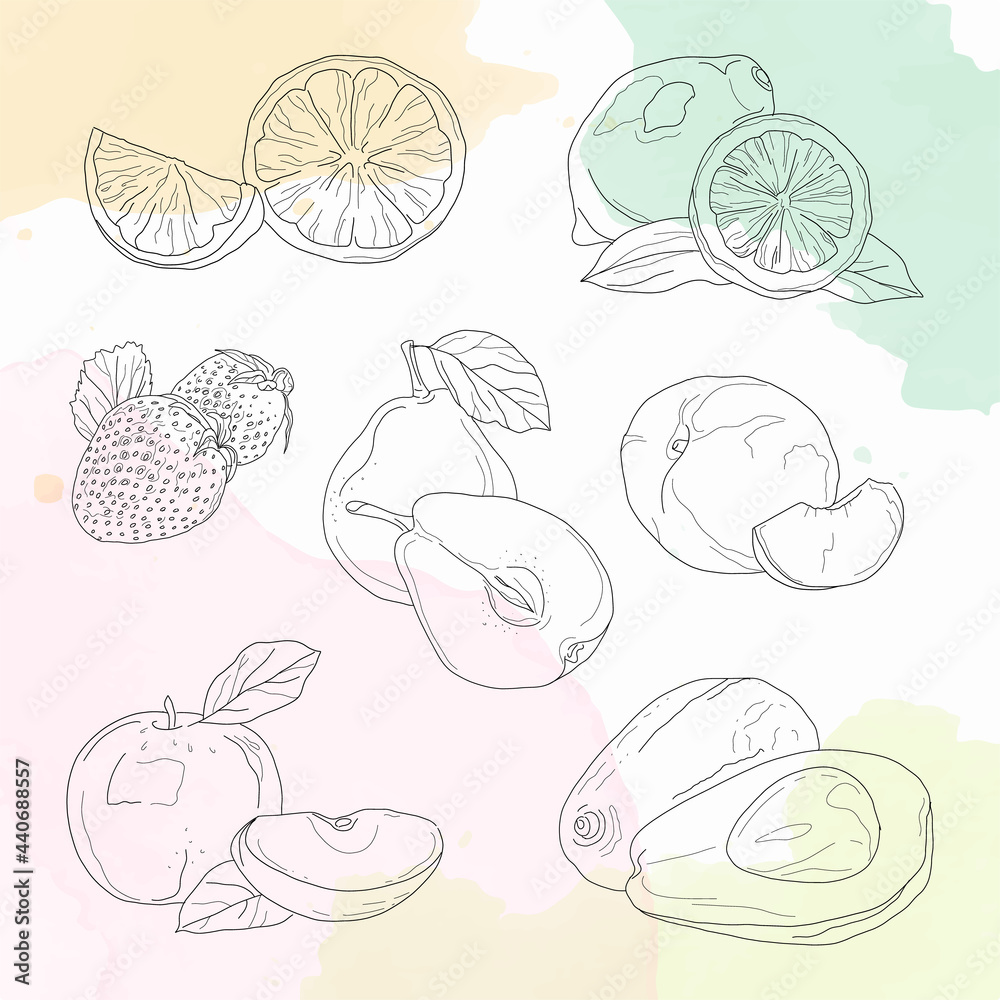 Sketch fruits. Vector hand drawn illustration isolate on watercolor background. Doodle pictures set. Strawberry, pear, peach, orange, lemon, apple, avocado.