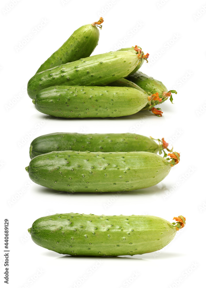 cucumbers isolated on white background cucumbers isolated on white background