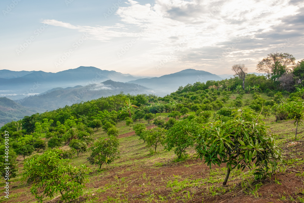 Surreal landscape of morning foggy..Morning clouds at sunrise.Landscape of fog and mountains of northern laos Surreal landscape of morning foggy..Morning clouds at sunrise.Landscape of fog and mountains of northern laos
