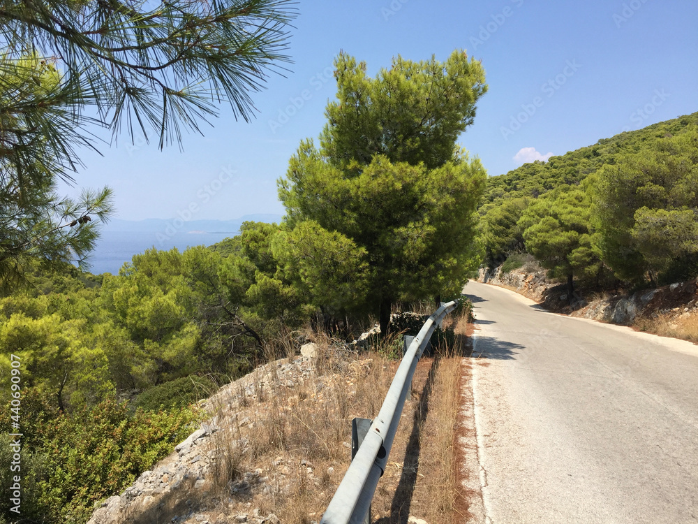The main road linking through a forest of pine trees the towns of Skala and Megalochori to Aponisos on the island of Agistri, Greece.