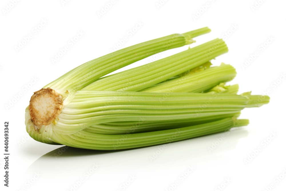 celery on a white background 