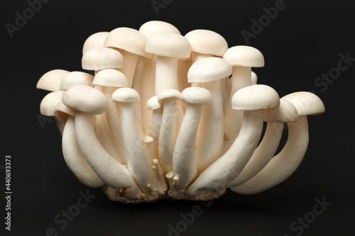 White beech mushrooms on black background 