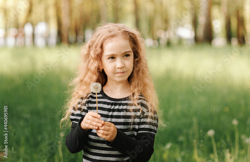 Little girl walks in the park in the summer and collects dandelions