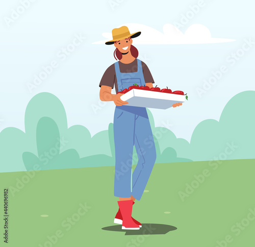 Female Farmer Carry Apples Harvest in Wood Box in Orchard. Gardener Character Harvesting Ripe Fruits in Garden