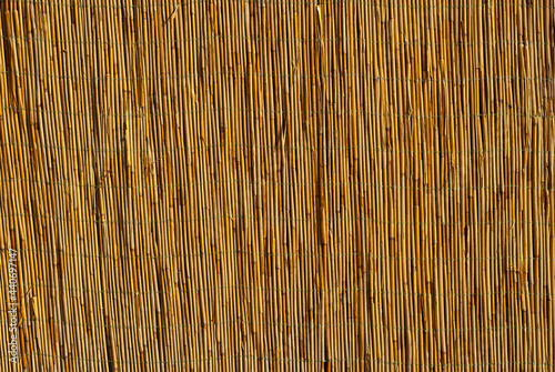 The texture of the straw fence. Wall of grass stalks close up. Yellow wall of reeds and bamboo.