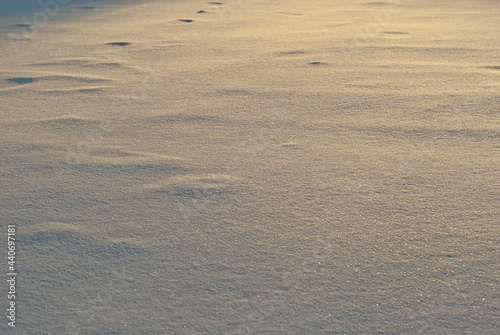 Texture of fresh snow. The snow lies evenly on the ground. Yellow sunlight in the snow. Sunset in winter.