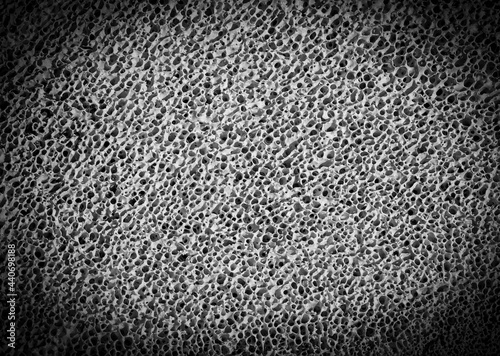 Photos Bone spongy structure close-up, healthy texture of bone