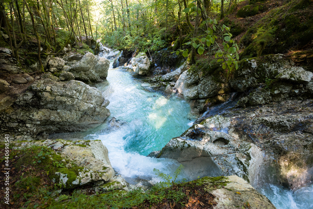 Obraz premium Brook in mountain forest