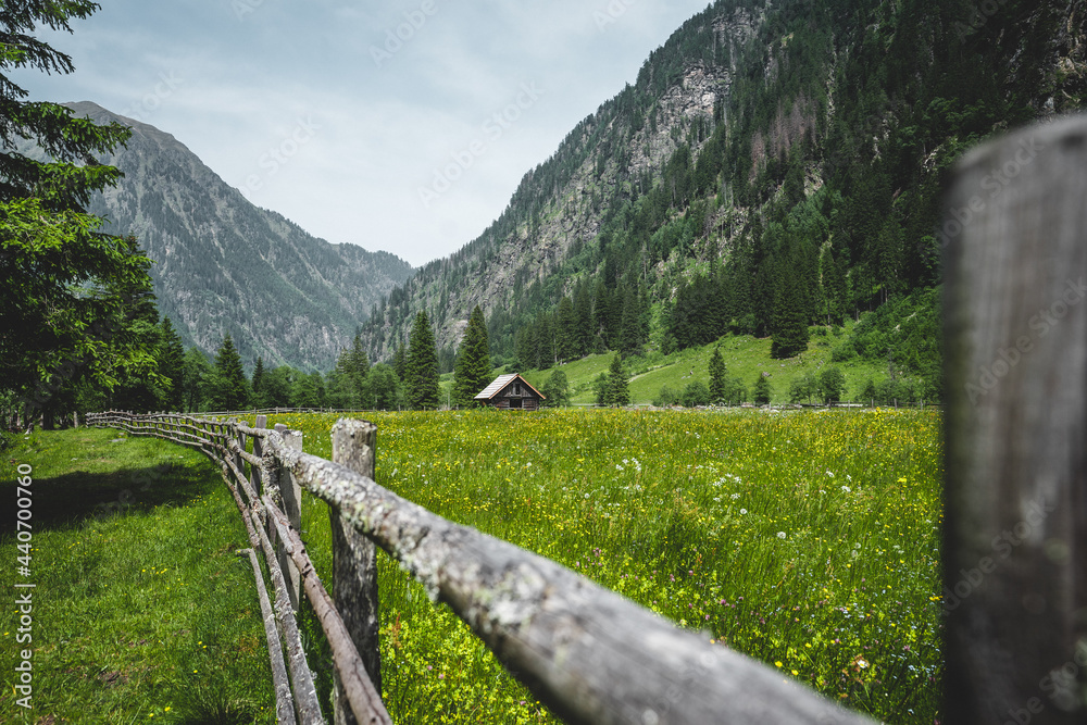 Landschaft in den Alpen mit einer alten Almhütte