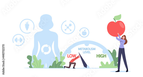 Metabolism of Human Organism Concept. Tiny Character Move Arrow to Increase Metabolic System Level. Diet Food for Energy