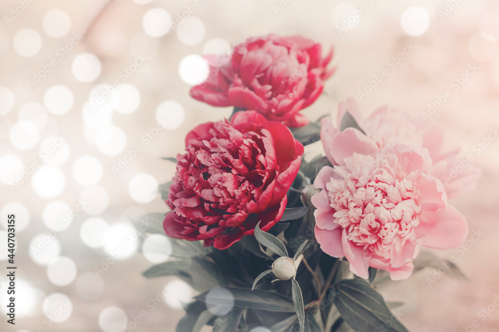 A bouquet of peonies in a white bokeh. Close-up of flowers.
