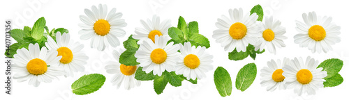 Fototapeta Naklejka Na Ścianę i Meble -  Camomile flowers and mint set isolated on white background