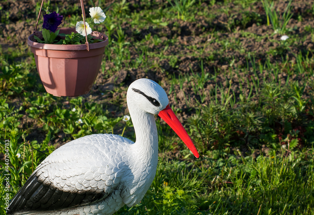 Fototapeta premium stork in the grass