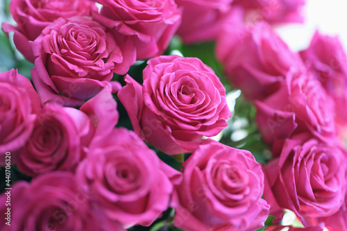Beautiful fresh buds of pink roses in large bouquet