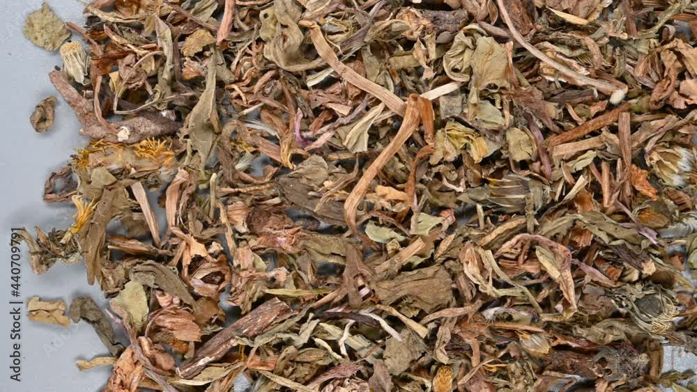 top pan herb PuGongYing or Taraxaci Herba or Mongolian Dandelion Herb top pan herb PuGongYing or Taraxaci Herba or Mongolian Dandelion Herb