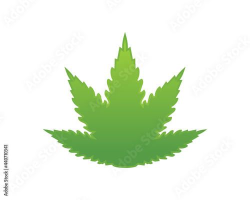 green cannabis medical marijuana leaf