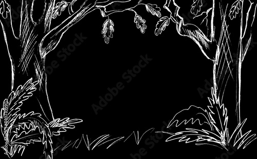 Forest landscape with trees and grass, drawn in white on a black background photo