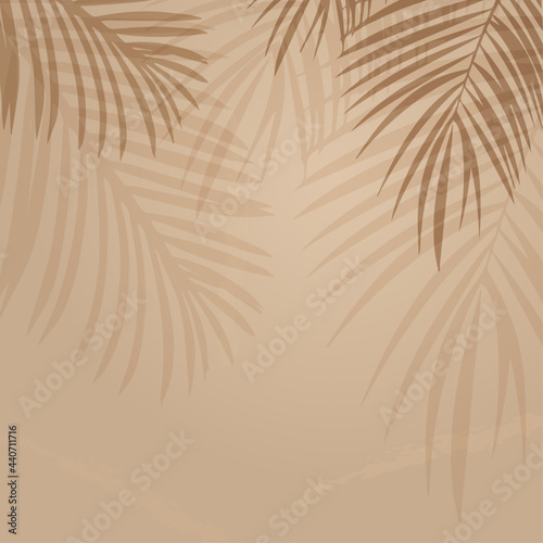 Palm tree shadow background abstract vector illustration