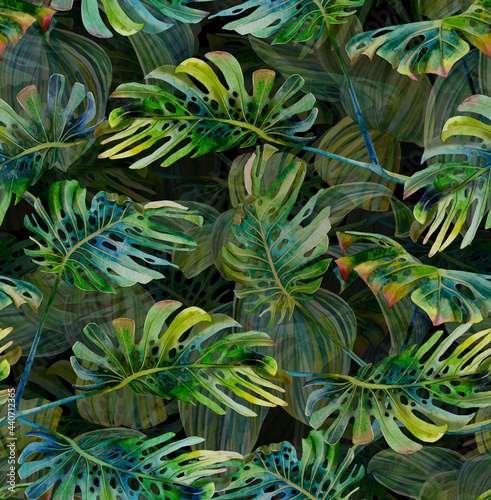 Fototapeta Naklejka Na Ścianę i Meble -  Tropical pattern with green monstera leaves. Seamless print painted with watercolor