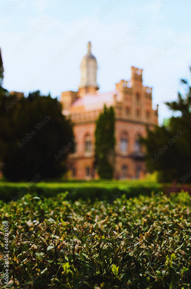 Blurred silhouette of ancient building of Residence of Bukovinian and Dalmatian Metropolitans (Chernivtsi National University).UNESCO World Heritage Site. Abstract background, blurred background