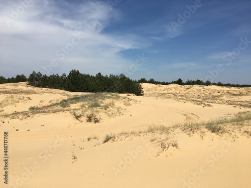Алешковские пески, Херсонская область, Украина
