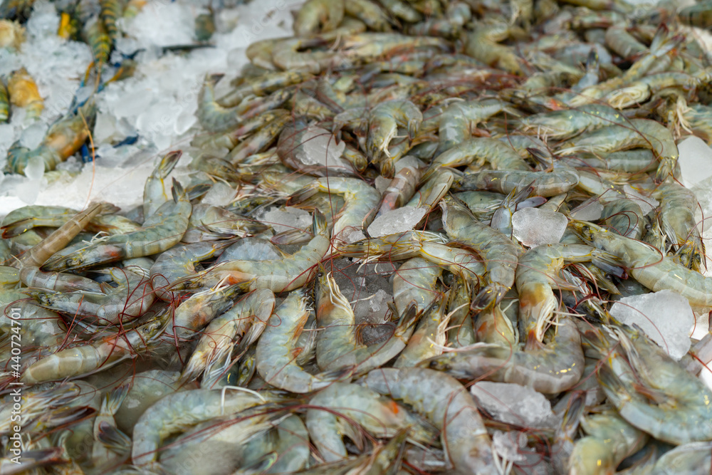 Fresh shrimps(prawns) with ice for freshness at seafood market,Thailand
