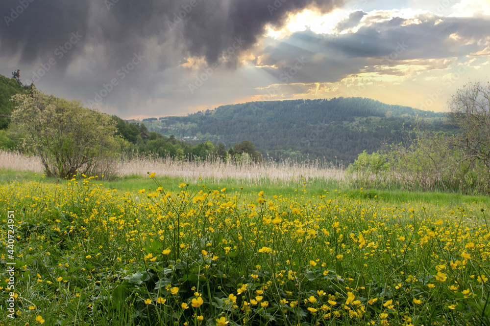Meadows full of wildflowers under a dark and stormy sky landscape. Bolu Abant National Park. Before Rain. Meadows full of wildflowers under a dark and stormy sky landscape. Bolu Abant National Park. Before Rain.