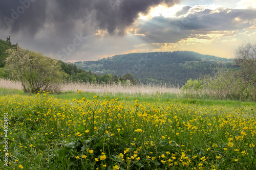 Meadows full of wildflowers under a dark and stormy sky landscape. Bolu Abant National Park. Before Rain.