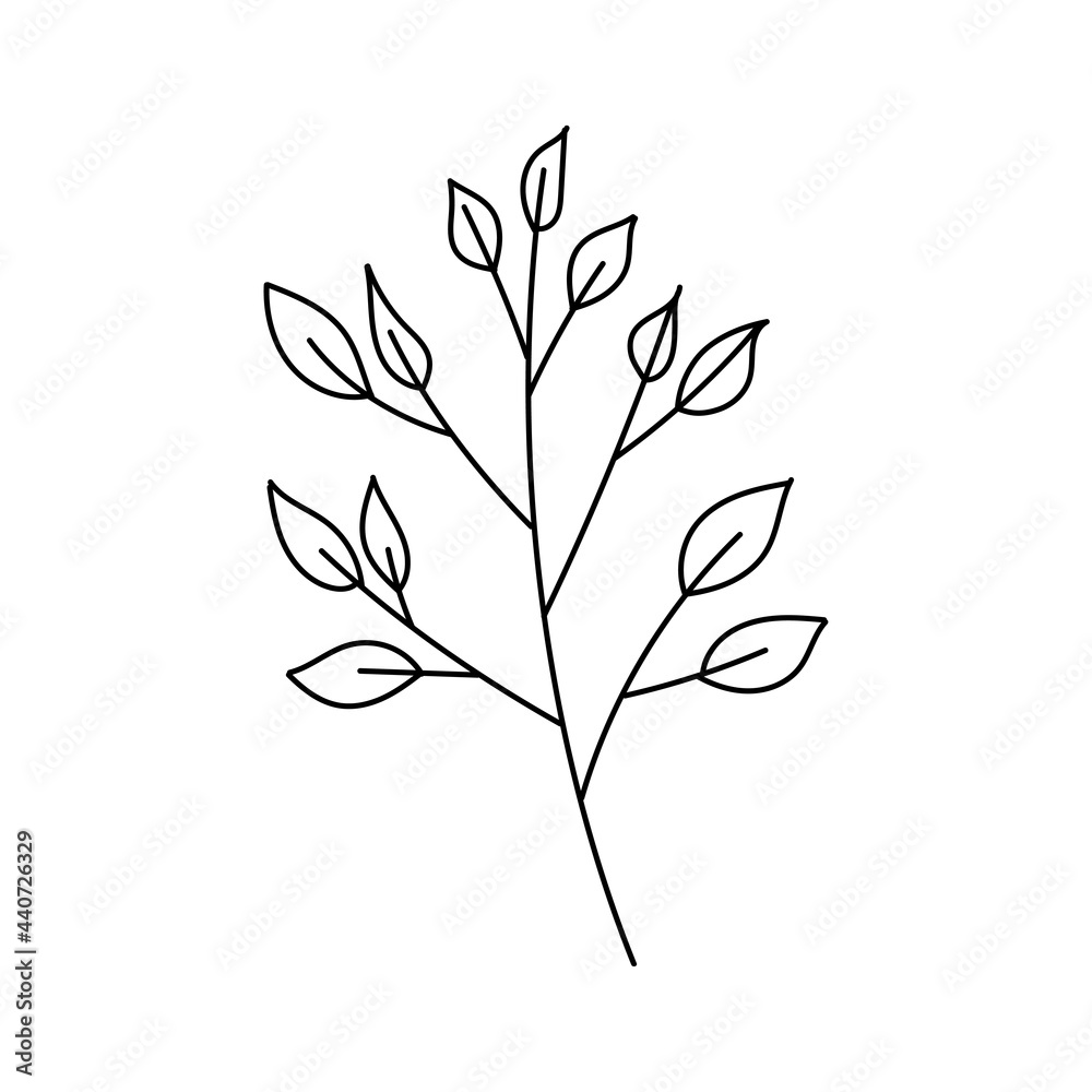Hand drawn line drawing of a leaf. Vector illustration