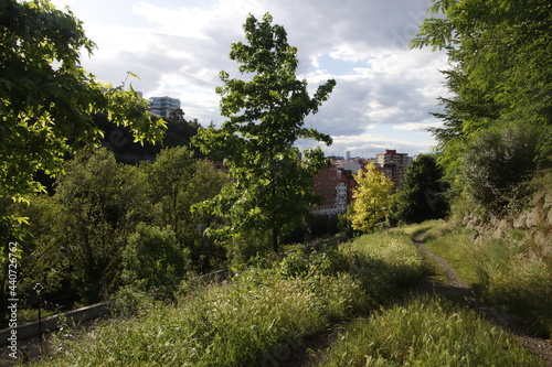 Urban park in the city