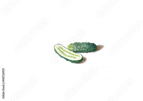 Tablou pe pânză Cucumber