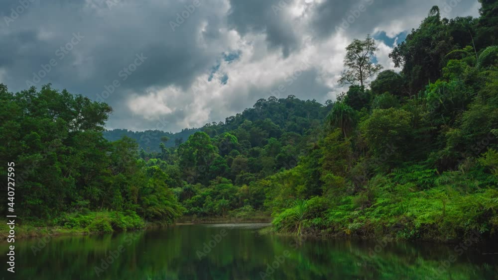 green topical forest in morning rainy cloudy day. beautiful nature landscape screen 4k time-lapse. tropical forest on a cloudy day. timelapse of gray clouds moving fast and reflect on water green topical forest in morning rainy cloudy day. beautiful nature landscape screen 4k time-lapse. tropical forest on a cloudy day. timelapse of gray clouds moving fast and reflect on water