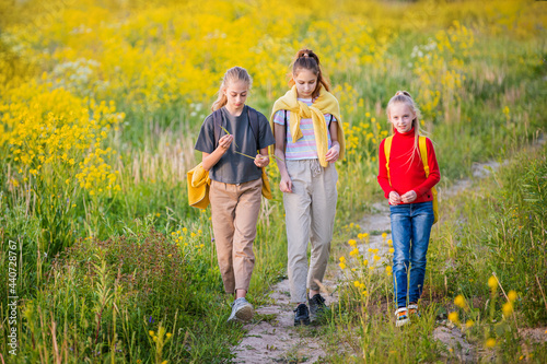 group of girls walking in the evening with backpacks in nature against the background of flowering meadow, steppe, active healthy lifestyle
