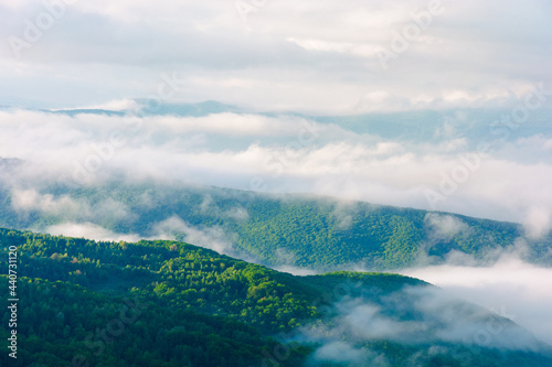 summer landscape on a foggy morning. amazing mountain view in the distance. scenic outdoor scenery. beautiful nature environment background. clouds on the sky above horizon © Pellinni