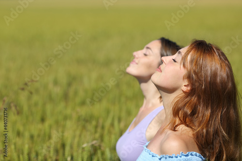 Two friends breathing fresh air in a wheat field