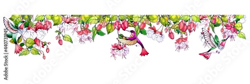 Divider with fuchsia flowers and hummingbird bird. Decorative frame from tropical design. Ornament of blossom plants and leaves. Floral horizontal border or pattern isolated. Vector stock illustration