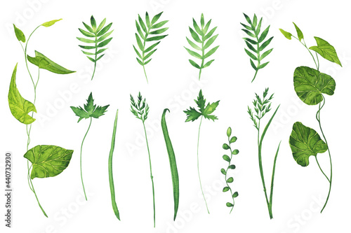 Watercolor of green grass isolated on white background. Hand drawing illustration for design. Big collection.