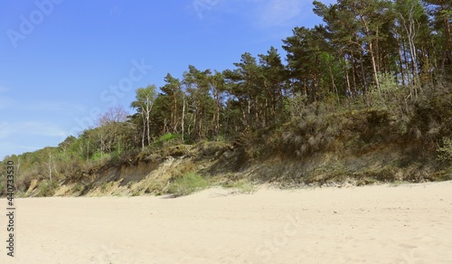 Φωτογραφία Baltic coast; beach, dunes and escarpment with trees