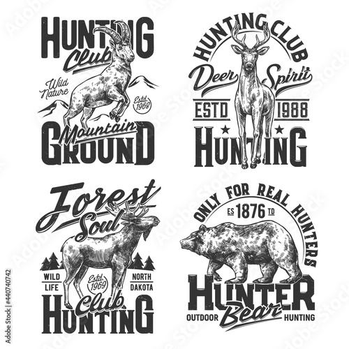 Mountain goat, deer and elk, grizzly bear t-shirt sketch print. Forest and mountain wild animals engraved vector. Hunting hobby and sport club emblem, hunter clothing custom design print template