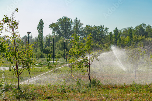 Automatic watering of lawns and trees in the city park early in the morning.