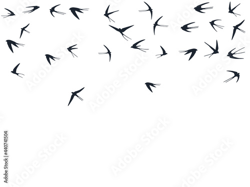 Flying swallow birds silhouettes vector illustration. Nomadic martlets swarm isolated on white.