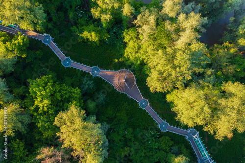 Mako, Hungary - Aerial view about canopy walkway near river Maros.
